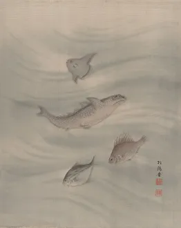 Album Leaf Gallery: Fishes, ca. 1890-92. Creator: Seki Shuko