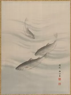 Album Leaf Gallery: Fishes Swimming, ca. 1890-92. Creator: Seki Shuko