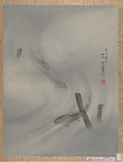 Album Leaf Prints: Fishes Swimming, Summer, 1891. Creator: Seki Shuko