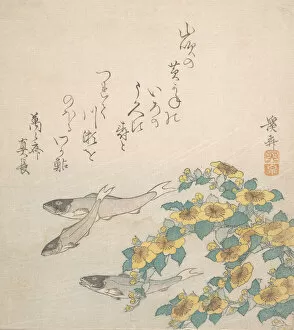 Eisen Keisai Gallery: Fishes Swimming with Yellow Flowers, ca. 1830. Creator: Ikeda Eisen