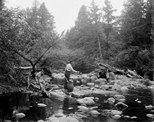 Casting Prints: Fishing, Adirondack Mts. N.Y. between 1900 and 1910. Creator: Unknown