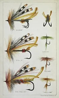 Pennell Prints: Fishing flies and hooks, 1875. Creator: Harry Cholmondeley Pennell