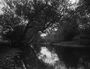 Creek Prints: Fishing on the Genegantslet, Smithville Flats, N.Y. c1900. Creator: Unknown