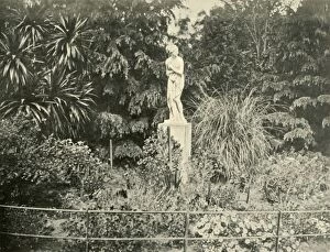 In the Fitzroy Gardens, Melbourne, 1901. Creator: Unknown