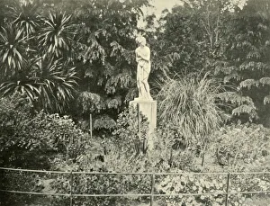 Federation Prints: In the Fitzroy Gardens, Melbourne, 1901. Creator: Unknown
