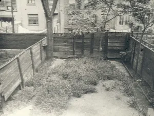 Backyard Prints: Flagstones, Charles Clinton Marshall house