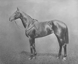 Flair, 1911