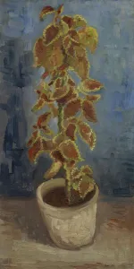 0 Holland Prints: Flame Nettle in a Flowerpot