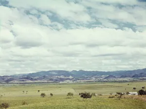 Ranch Prints: In the flat cattle country in the south western tip of Puerto Rico