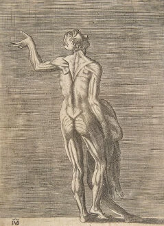 Flay Collection: Flayed man with left hand on hip, holding skin in right hand, ca. 1531-76