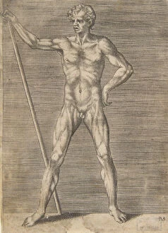 Flayed Gallery: Flayed man seen from in front, holding a stick, ca. 1531-76. Creator: Giulio Bonasone