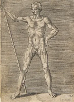 Pole Prints: Flayed man seen from in front, holding a stick, ca. 1531-76. Creator: Giulio Bonasone