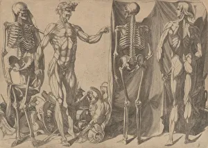 Barbiere Domenico Del Gallery: Two Flayed Men and Their Skeletons, ca. 1540-45. Creator: Domenico del Barbiere
