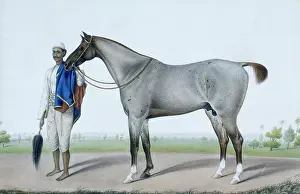 Fly Swish Prints: A flea-bitten grey horse with its groom holding a fly-whisk and a red and blue horse-cloth