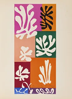 Verve Prints: Fleurs de neige, 1951. Creator: Matisse; Henri (1869-1954)