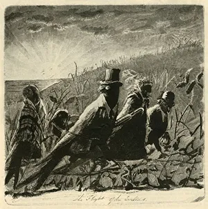 The Flight of the Swallows, 1882. Creator: Unknown The Flight of the Swallows, 1882. Creator: Unknown