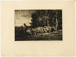Calm Before The Storm Collection: Flock of Sheep at the Edge of a Wood, 1877. Creator: Charles Emile Jacque