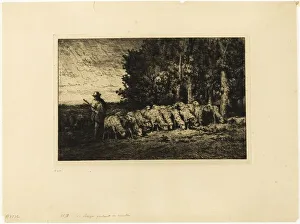Flock of Sheep at the Edge of a Wood, 1877. Creator: Charles Emile Jacque