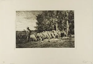 Flock of Sheep at the Edge of a Wood, 1877. Creator: Charles Emile Jacque