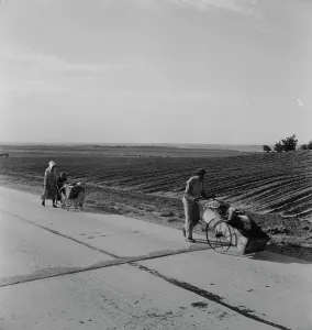 Barrow Prints: Flood refugee family near Memphis, Texas, 1937. Creator: Dorothea Lange
