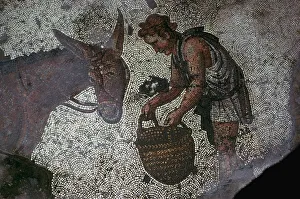 Great Palace Prints: Detail of a floor mosaic in the Great Palace in Istanbul, 6th century