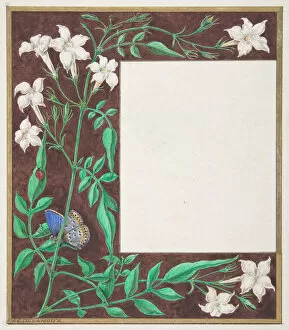 Delamotte Gallery: Floral Border Design, 1830-62. Creator: Freeman Gage Delamotte