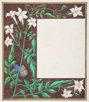 Delamotte Prints: Floral Border Design, 1830-62. Creator: Freeman Gage Delamotte