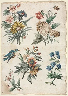 Watercolour And Gouache Prints: Floral Designs with a Blue Bird, c. 1773 / 74. Creator: Giacomo Cavenezia (Italian)