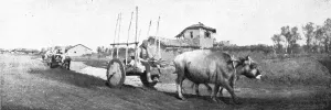 Stake Prints: De Florina a Monastir; les chars macedonies
