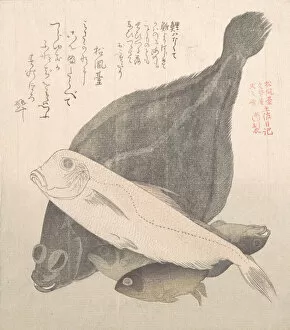 Catch Collection: Flounder and Other Fishes, 19th century. Creator: Kubo Shunman