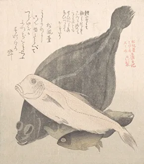 Fishes Prints: Flounder and Other Fishes, 19th century. Creator: Kubo Shunman