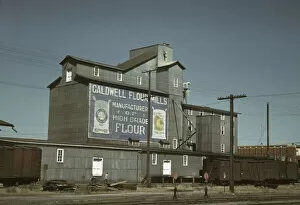 Sign Collection: Flour mill, Caldwell, Idaho, 1941. Creator: Russell Lee