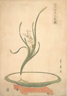 Narcissus Prints: Flower Arrangement of Suisen (Narcissus) in a Flat Green Dish. Creator: Utagawa Toyohiro