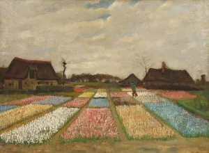 Flower Beds Prints: Flower Beds in Holland, c. 1883. Creator: Vincent van Gogh