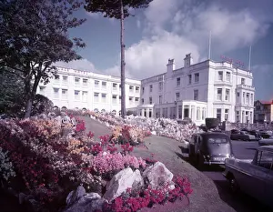 Waterfront Prints: Flower beds at the Palace Hotel