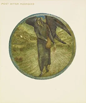 Seed Prints: The Flower Book - Most Bitter Moonseed, 1905. Creator: Sir Edward Coley Burne-Jones