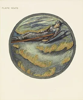 The Flower Book Prints: The Flower Book - Flame Heath, 1905. Creator: Sir Edward Coley Burne-Jones