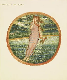 The Flower Book Prints: The Flower Book - Marvel of the World, 1905. Creator: Sir Edward Coley Burne-Jones