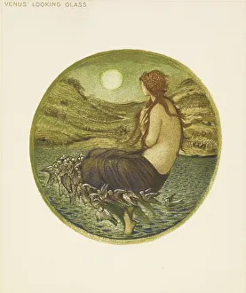 The Flower Book Prints: The Flower Book- Venus Looking Glass, 1905. Creator: Sir Edward Coley Burne-Jones
