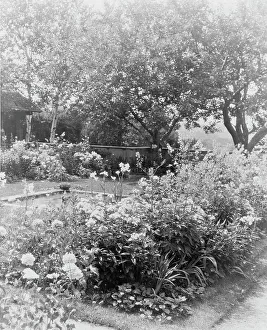 Herbaceous Border Prints: Flower garden, at the home of Mrs