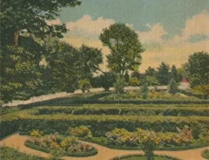 Hedge Gallery: The Flower Garden, a view of the west end, 1946