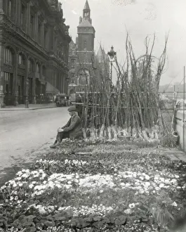 Stall Prints: Flower market, Quai de la Cité, Paris, France, 1925. Creator: Frances Benjamin Johnston