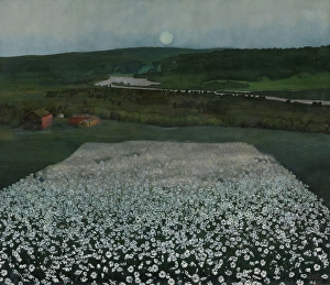 Flower Meadow in the North, 1905. Creator: Harald Sohlberg