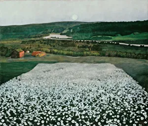 White Night Prints: Flower Meadow in the North. Artist: Sohlberg, Harald (1869-1935)
