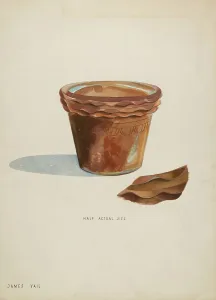 Flower Pot, c. 1936. Creator: James Vail