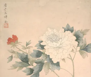Album Leaf Gallery: Flower Study, 17th century. Creator: Yun Bing