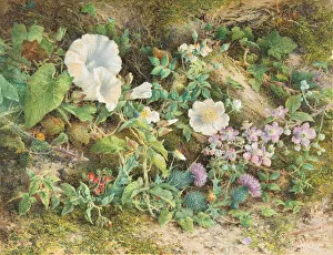 Images Dated 23rd September 2020: Flower Study, 1866. Creator: John Jessop Hardwick