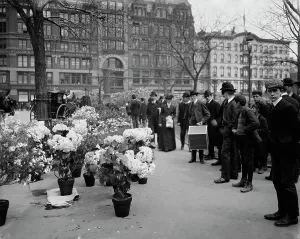 Vendor Prints: Flower vender's [sic] Easter display in Union Square Park