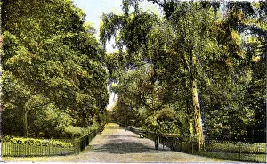 The Flower Walk, Kensington Gardens, London, 20th Century