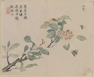 1644 1911 Prints: Flowering Branch with Bees, 18th Century. Creator: Unknown